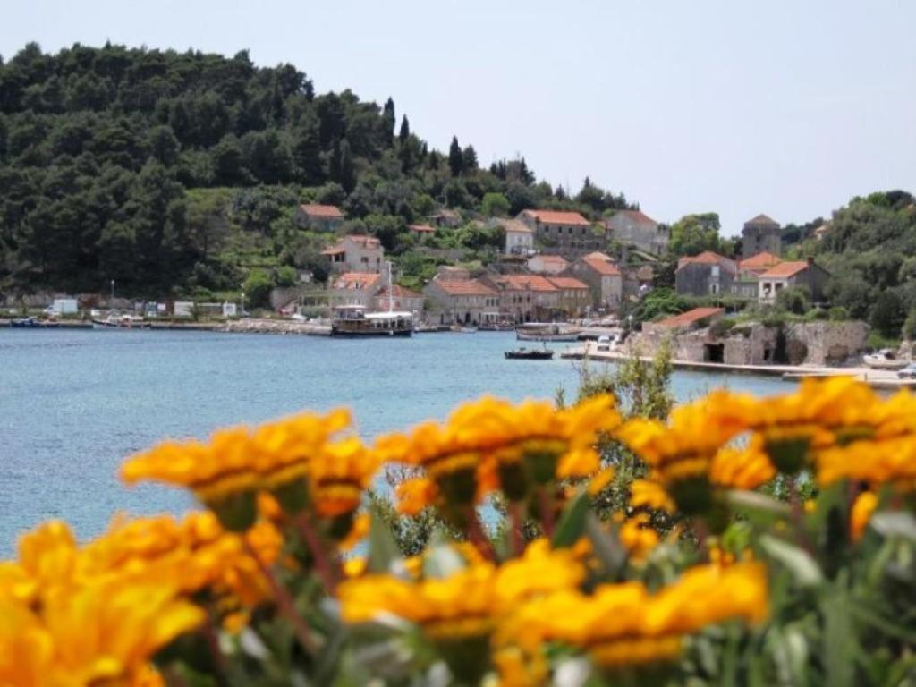 Guest House Simunovic Sudurad Esterno foto